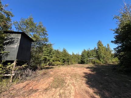 Land for sale in Cass County, Texas