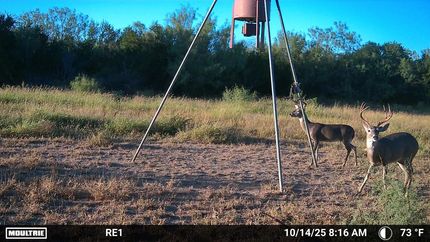 Land for sale in Zapata County, Texas