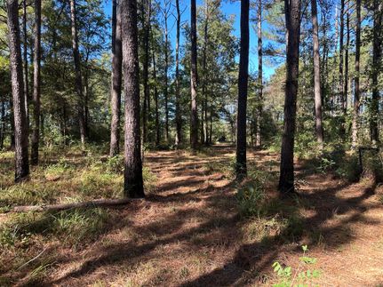 Recreational Property for sale in Rankin County, Mississippi
