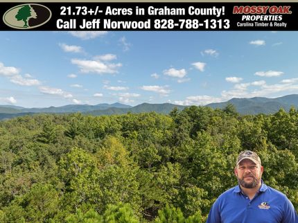 Undeveloped Land for sale in Graham County, North Carolina