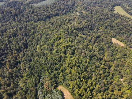 Land for sale in Noble County, Ohio