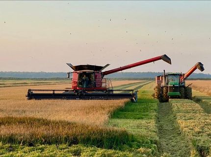 Hunting Property for sale in Randolph County, Arkansas