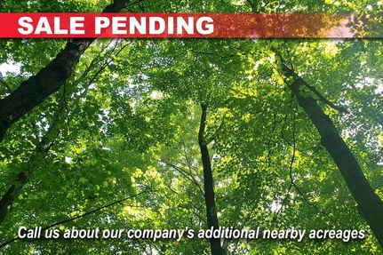 Land for sale in Price County, Wisconsin