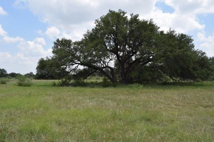 Farm and Ranch for sale in Tom Green County, Texas
