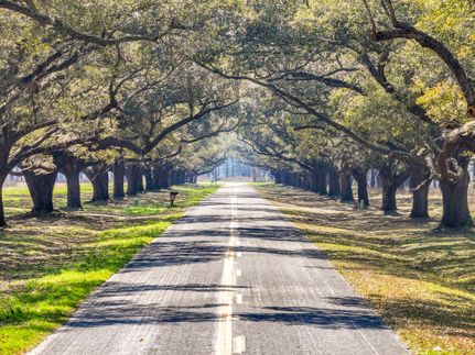 Land for sale in Allendale County, South Carolina