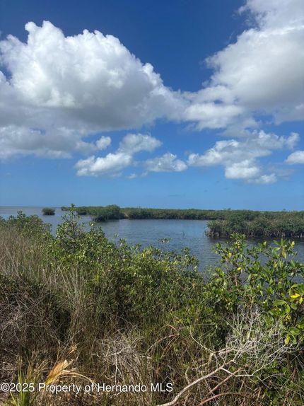 Oceanfront Property for sale in Hernando County, Florida