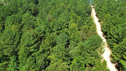 Land for sale in Sumter County, Alabama