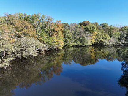Farm and Ranch for sale in Williamsburg County, South Carolina