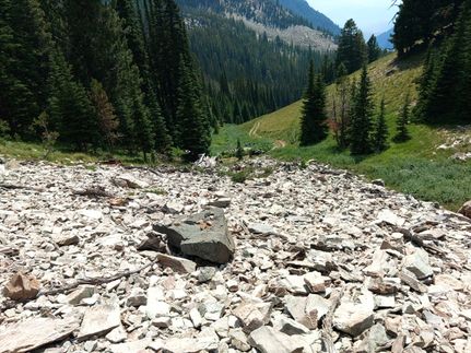 Land for sale in Lemhi County, Idaho