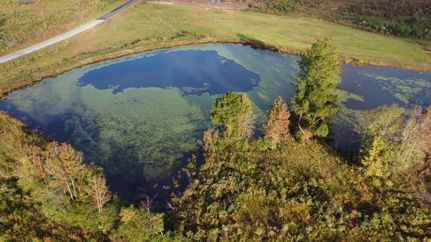 Land for sale in Covington County, Mississippi