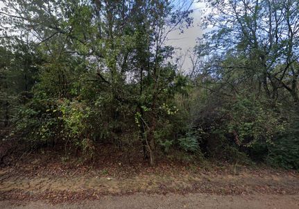 Undeveloped Land in Camp County, Texas