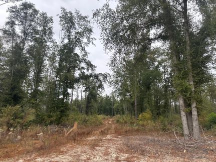 Recreational Property for sale in Covington County, Alabama