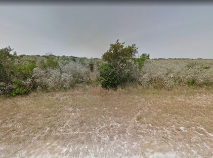 Undeveloped Land for sale in Jim Wells County, Texas