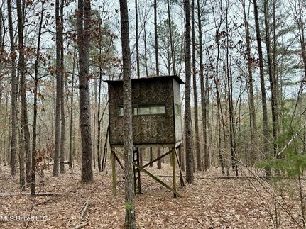 Land for sale in Marshall County, Mississippi