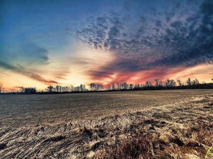 Undeveloped Land for sale in Menominee County, Michigan