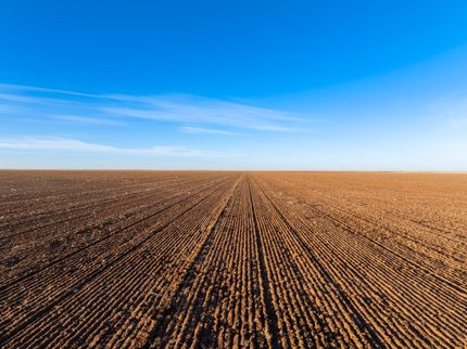 Undeveloped Land for sale in Bailey County, Texas