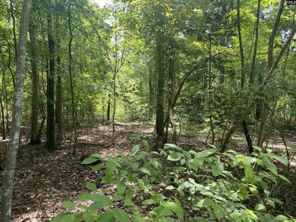 Land for sale in Lexington County, South Carolina