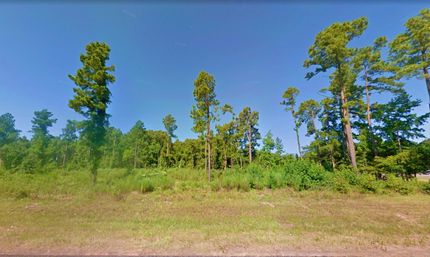 Undeveloped Land for sale in Marion County, Texas