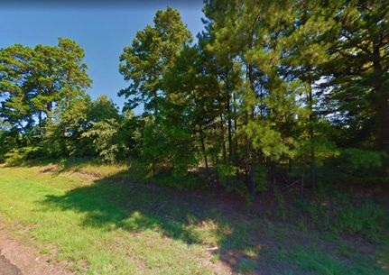 Undeveloped Land in Marion County, Texas
