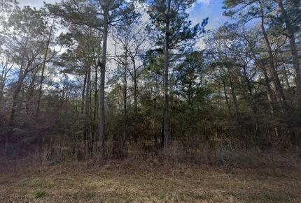 Land for sale in Montgomery County, Texas