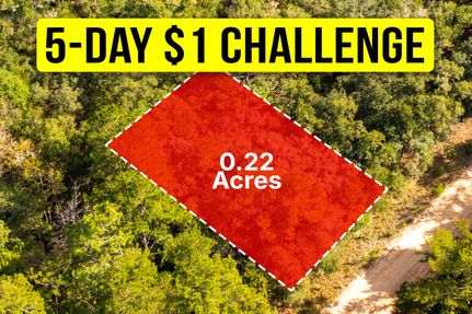 Timberland Property for sale in Putnam County, Florida