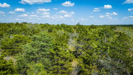 Land for sale in Bastrop County, Texas