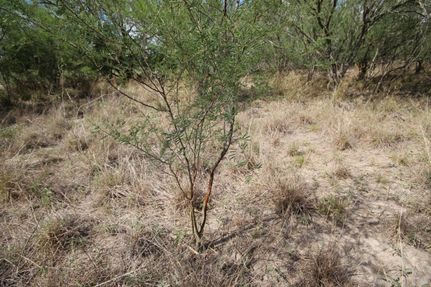 Land for sale in Brooks County, Texas