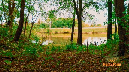 Farm and Ranch for sale in Pope County, Illinois