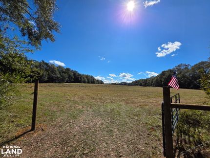 Land for sale in Geneva County, Alabama