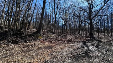 Timberland Property for sale in Henry County, Tennessee