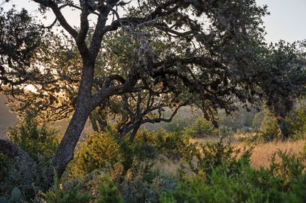 Farm and Ranch for sale in Real County, Texas