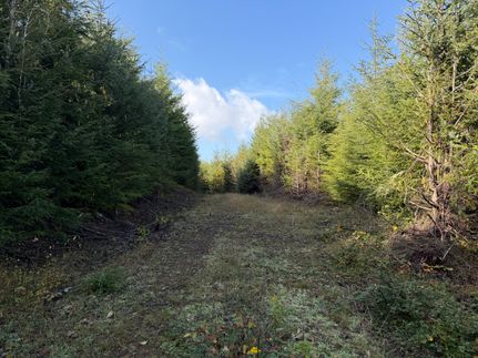 Land for sale in Clatsop County, Oregon