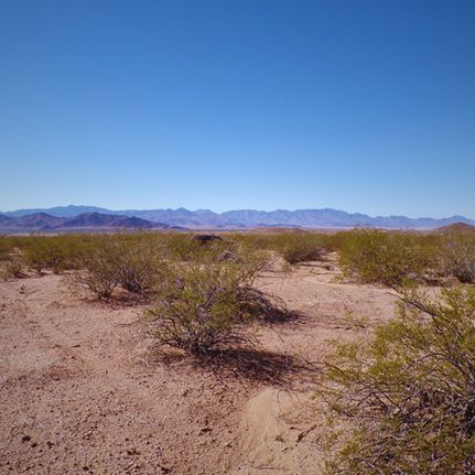 Land for sale in Mohave County, Arizona