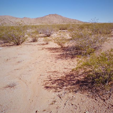 Undeveloped Land for sale in Mohave County, Arizona