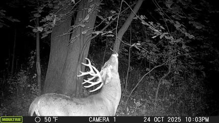 Land for sale in Butler County, Iowa