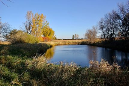 Timberland Property for sale in Nobles County, Minnesota