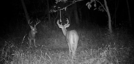 Land for sale in Clark County, Illinois