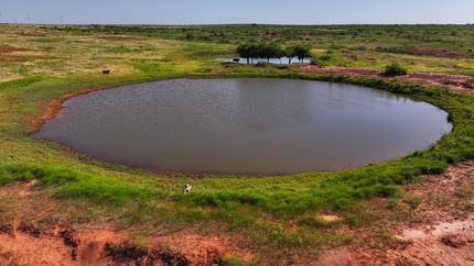 Land for sale in Wilbarger County, Texas