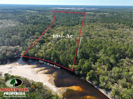 Waterfront Property for sale in Brantley County, Georgia