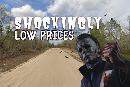 Horse Property for sale in Putnam County, Florida