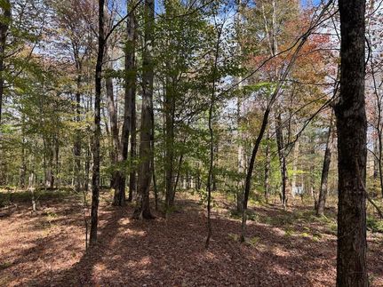 Land for sale in Chenango County, New York