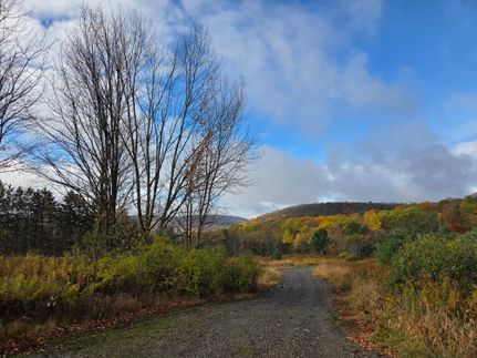 Land for sale in Oswego County, New York