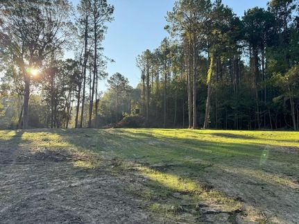 Land for sale in Wilkinson County, Mississippi