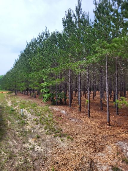 Undeveloped Land for sale in Kershaw County, South Carolina