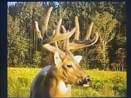 Recreational Property for sale in Emanuel County, Georgia