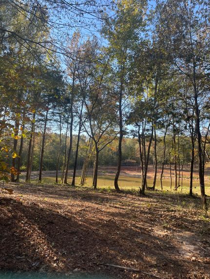 Farm and Ranch for sale in Upshur County, Texas