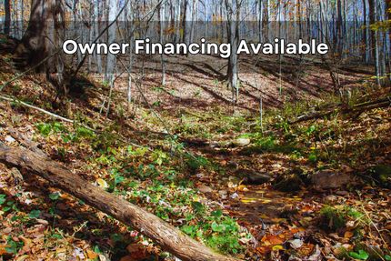 Hunting Property for sale in Ashe County, North Carolina