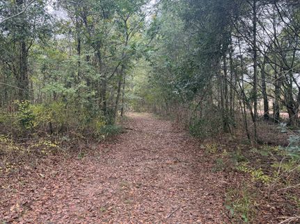 Land for sale in Leflore County, Mississippi