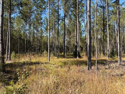 Farm and Ranch for sale in Montgomery County, Alabama