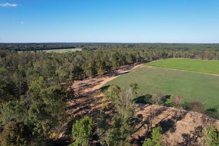 Undeveloped Land for sale in Lauderdale County, Alabama